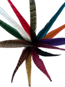 Plume de faisan Naturelle