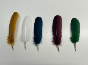 Plume de dinde Naturelle