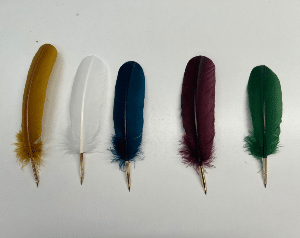 Plume de dinde Naturelle