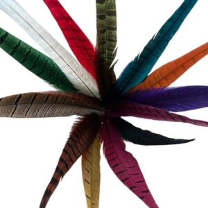 Plume de faisan Naturelle