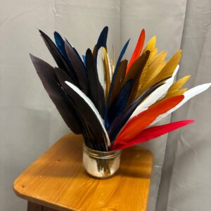 Plume Oie Naturelle
