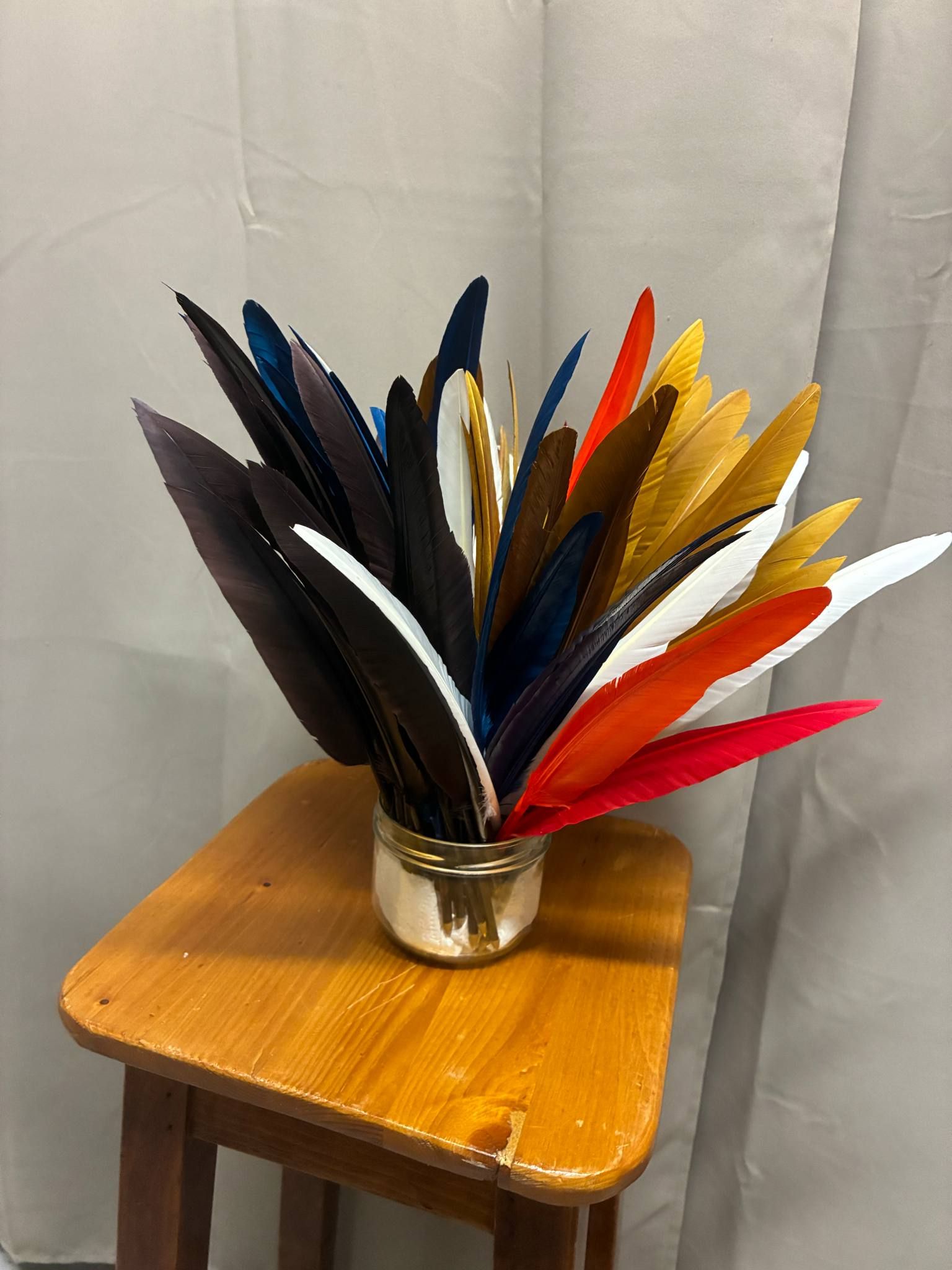 Plume Oie Naturelle
